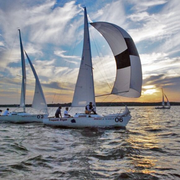 Meet your Posher, Tawny K - Picture 4 of 10